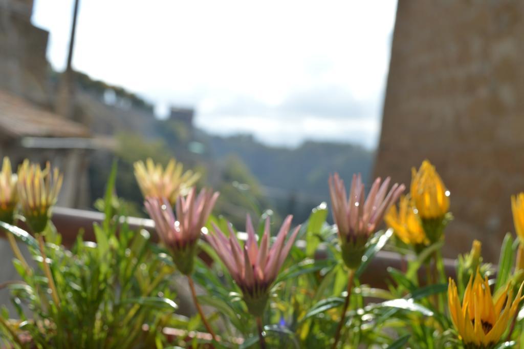 Casa Dei Lavatoi Pitigliano Lägenhet Exteriör bild